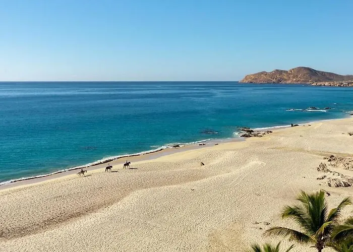 2bd Oceanview Garza Blanca Cabo Apartment